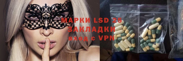 spice Аркадак