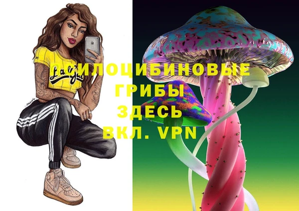 spice Аркадак