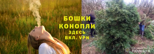 спиды Арсеньев