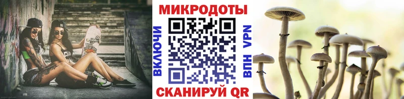Псилоцибиновые грибы MAGIC MUSHROOMS  сколько стоит  Сальск 