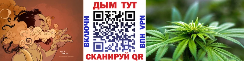 МАРИХУАНА план  Сальск 